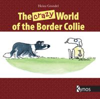 crazy World of the Border Collie