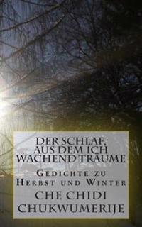 Der Schlaf, aus dem ich wachend träume