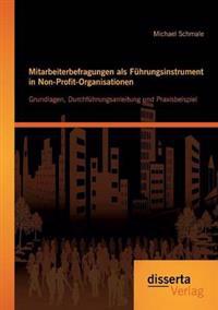 Mitarbeiterbefragungen als Führungsinstrument in Non-Profit-Organisationen