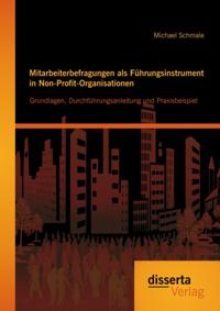 Mitarbeiterbefragungen als Fuhrungsinstrument in Non-Profit-Organisationen: Grundlagen, Durchfuhrungsanleitung und Praxisbeispiel