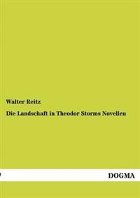 Die Landschaft in Theodor Storms Novellen
