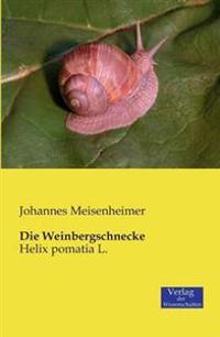 Die Weinbergschnecke