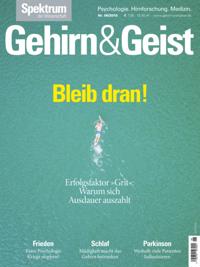 Gehirn&Geist 6/2018 Bleib dran!