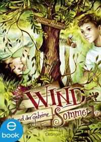 Wind und der geheime Sommer