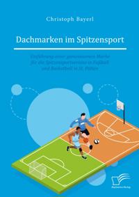 Dachmarken im Spitzensport: Einfuhrung einer gemeinsamen Marke fur die Spitzensportvereine in Fuball und Basketball in St. Polten