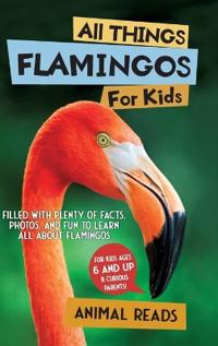 All Things Flamingos For Kids