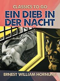 Ein Dieb in der Nacht