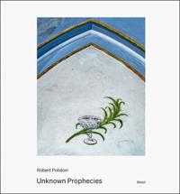 Unknown Prophecies