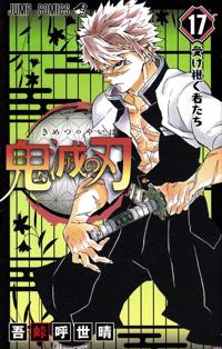 Demon Slayer: Kimetsu no Yaiba 17 (Japanska)