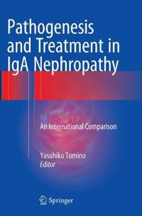 Pathogenesis and Treatment in IgA Nephropathy