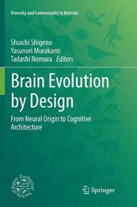 Brain Evolution by Design