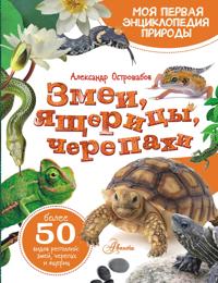 Zmei, jascheritsy, cherepakhi