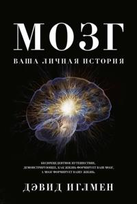 THE BRAIN The Story of You