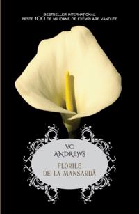 Literatura pentru femei