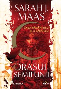 Bokomslag för Literatura pentru femei
