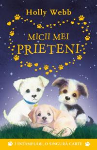 Fictiune Pentru Copii. Prima Mea Lectura