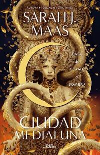 Bokomslag for Casa de Flama Y Sombra / House of Flame and Shadow
