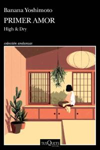 Primer Amor (Novela) / High and Dry (a Novel)