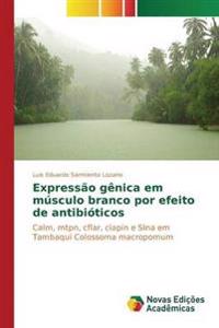 Expressão gênica em músculo branco por efeito de antibióticos