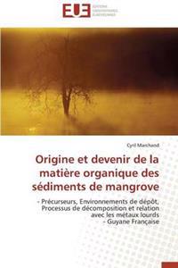 Origine et devenir de la matière organique des sédiments de mangrove