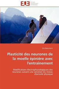 Plasticité des neurones de la moelle épinière avec l''entraînement