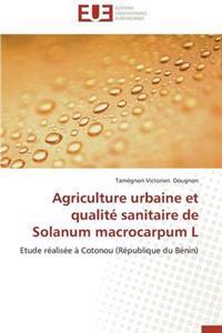 Agriculture Urbaine Et Qualit? Sanitaire de Solanum Macrocarpum L