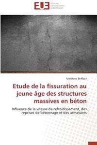 Etude de la fissuration au jeune âge des structures massives en béton