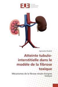 Atteinte tubulo-interstitielle dans le modèle de la fibrose toxique