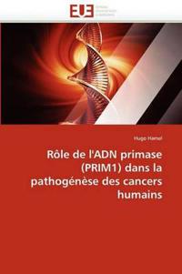 Rôle de l''adn primase (prim1) dans la pathogénèse des cancers humains