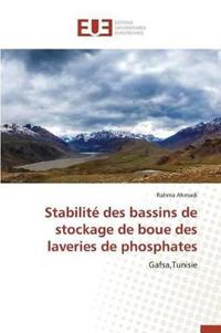 Stabilité Des Bassins de Stockage de Boue Des Laveries de Phosphates