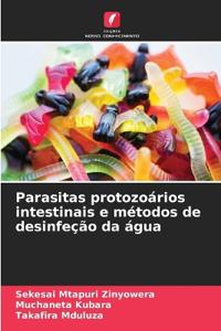 Parasitas protozoários intestinais e métodos de desinfeção da água
