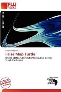 False Map Turtle