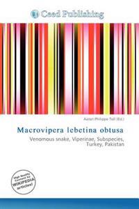 Macrovipera lebetina obtusa