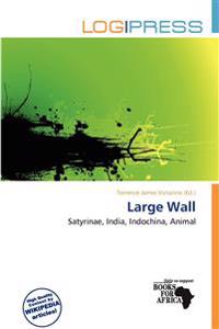 Large Wall