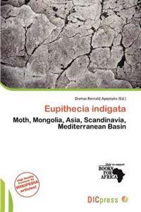 Eupithecia indigata