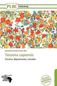 Tecoma capensis