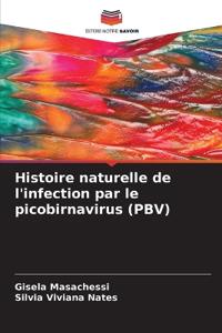Histoire naturelle de l'infection par le picobirnavirus (PBV)