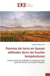Pomme de terre en basses altitudes dans les hautes températures