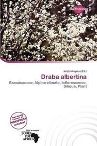 Draba albertina