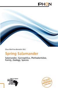 Spring Salamander