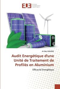 Audit Energétique d'une Unité de Traitement de Profilés en Aluminium