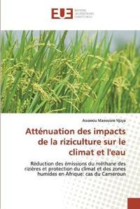 Atténuation des impacts de la riziculture sur le climat et l'eau