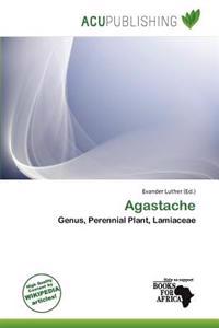 Agastache