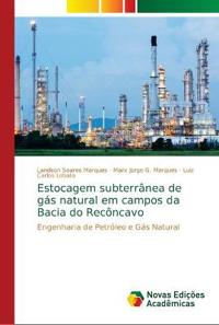 Estocagem subterrânea de gás natural em campos da Bacia do Recôncavo