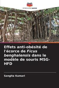 Effets anti-obésité de l'écorce de Ficus benghalensis dans le modèle de souris MSG-HFD