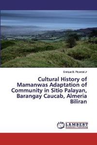 Cultural History of Mamanwas Adaptation of Community in Sitio Palayan, Barangay Caucab, Almeria Biliran