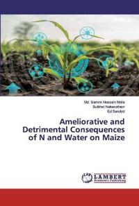 Ameliorative and Detrimental Consequences of N and Water on Maize