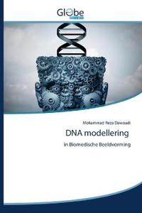 DNA modellering