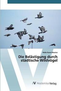 Die Belästigung durch städtische Wildvögel