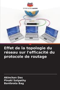 Effet de la topologie du réseau sur l'efficacité du protocole de routage
